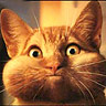 Avatar gebruiker