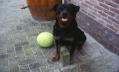 Avatar gebruiker
