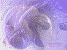 Avatar gebruiker