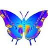 Avatar gebruiker