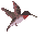 Avatar gebruiker